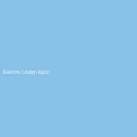Kleines Leder-Auto