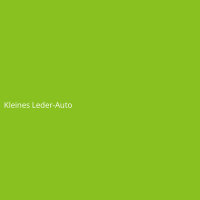 Kleines Leder-Auto