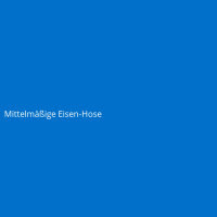 Mittelm&auml;&szlig;ige Eisen-Hose