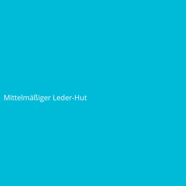 Mittelm&auml;&szlig;iger Leder-Hut