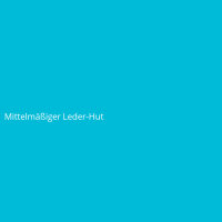 Mittelm&auml;&szlig;iger Leder-Hut